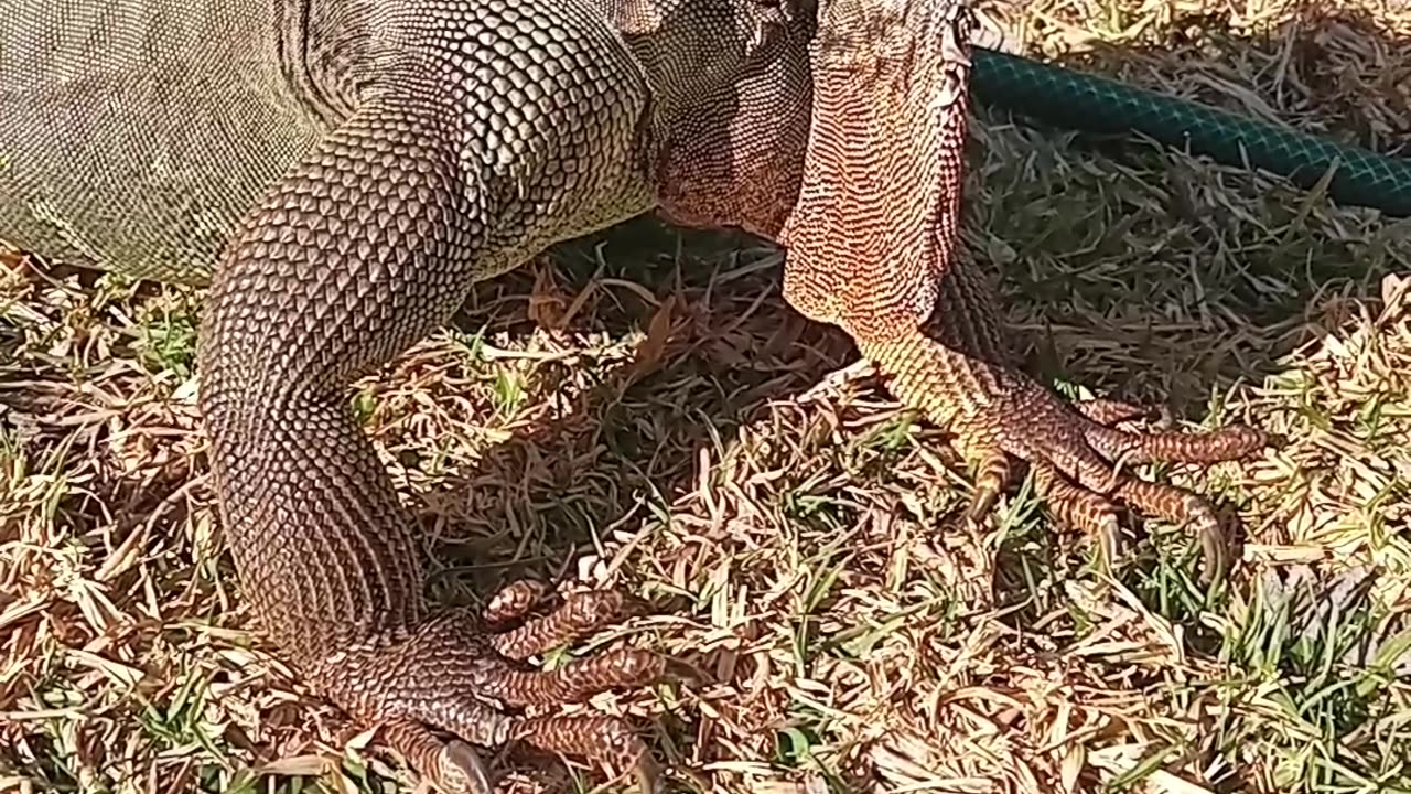 Is That Red I'm Seeing?