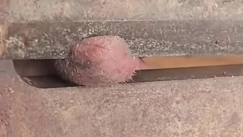 💡✨ Wait Until You See This Incredible Idea! | LifeHacksDaily