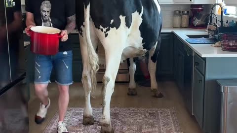 😂🍴 Cooking (and Eating) with Bruce: A Delicious Adventure! | FunFM