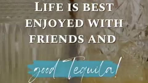Elevate Every Sip With The Best Organic Tequila By AgaveLuz