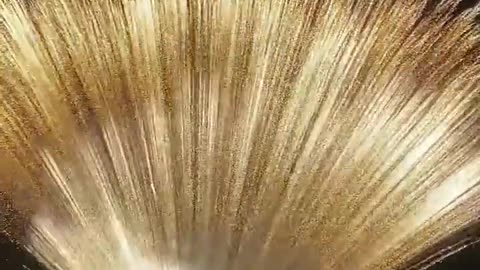 Fireworks! (Short)