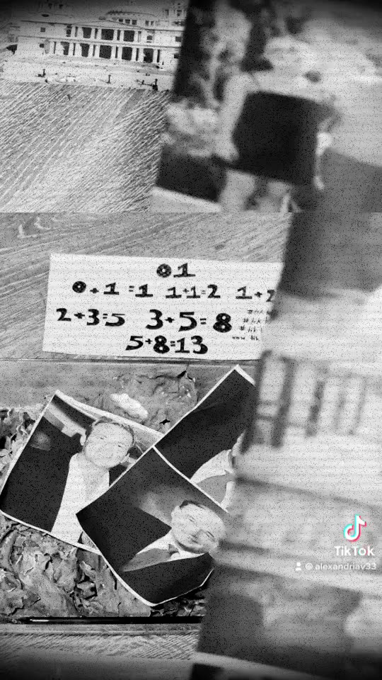 Tim Rifat TikTok Videos