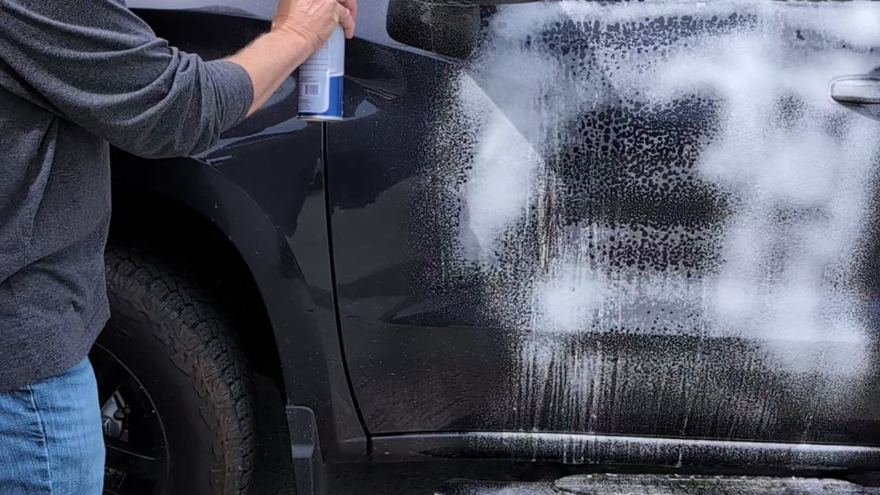 Bird Poop Emergency!