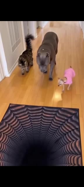 The privileged and the expendable