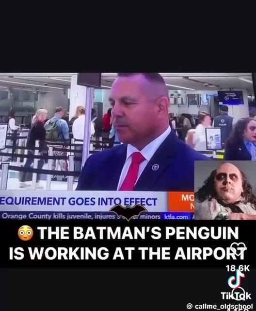 🐧The PENGUIN