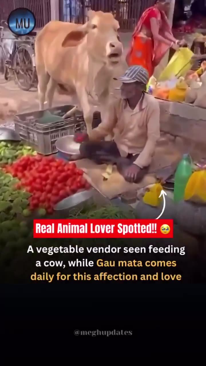 Perfect example of 'Real Animal Lover