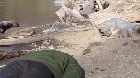😂🐮 This Guy Got a Moo-velous Wake-Up Call | FunFM