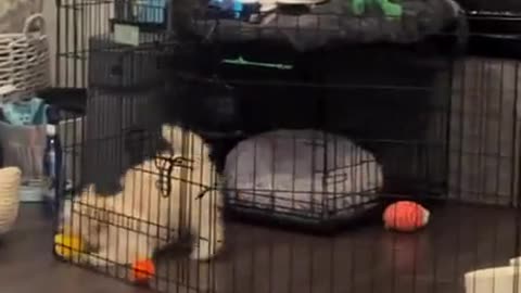 "None of you seem to understand. I'm not locked in here with you, your locked in here WITH ME!!"