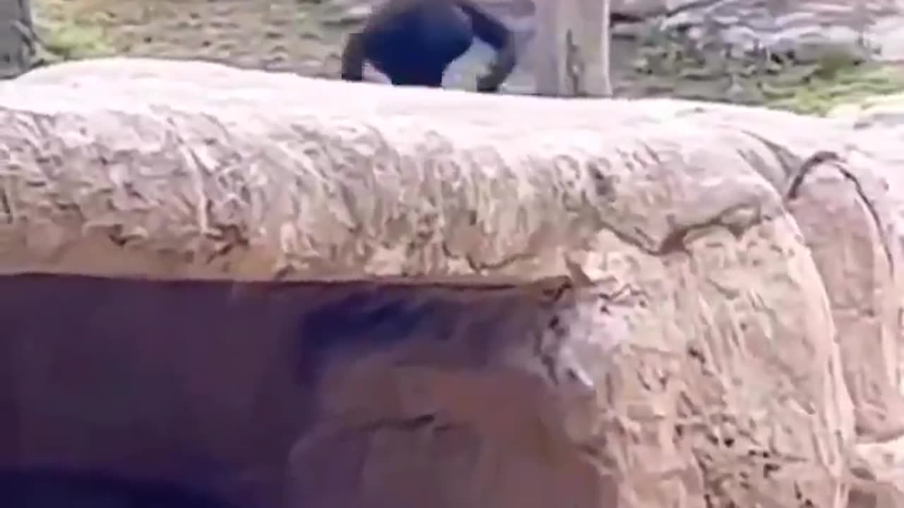 life hits you hard sometimes