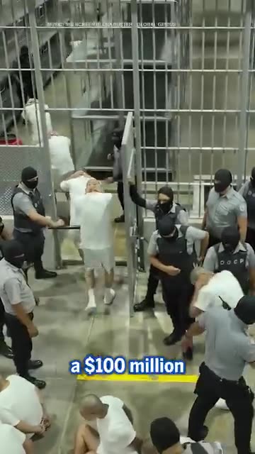 238 prisoners arrived today, according to President Bukele