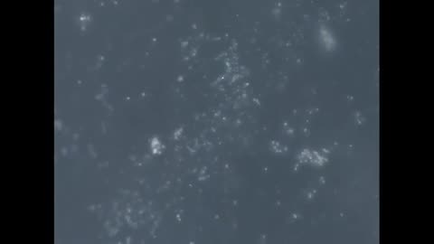 chemtrails fallout sample, now THRIVING WITH LIFE