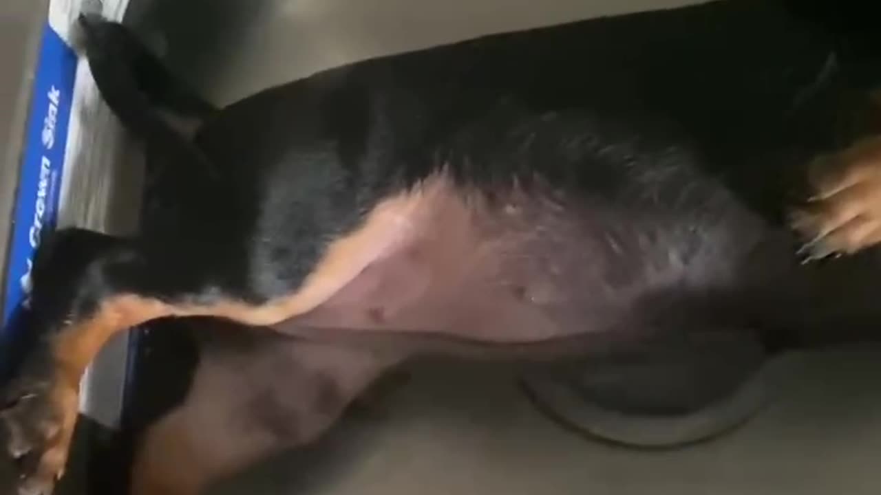 Defrosting a Burnt Hot Dog