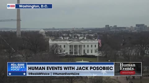 Will Chamberlain To Jack Posobiec: Renee Goode Committed Four Distinct Federal Crimes.