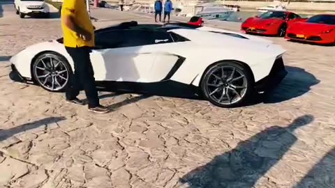 Lamborghini or Ferrari? 🏎️ Choose Your Supercar! #k_cars #report_test_001 | LuxurySportsCars