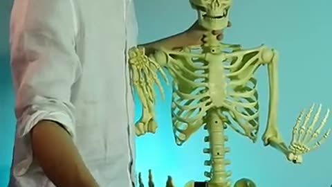 Shocking: POV: every chiropractor ever ☠️ #asmr