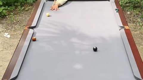 This's really funny to watch