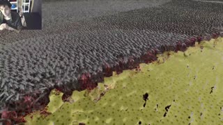 One Million SpongeBob SquarePants VS One Million Xenomorphs From The Aliens Series In A Battle