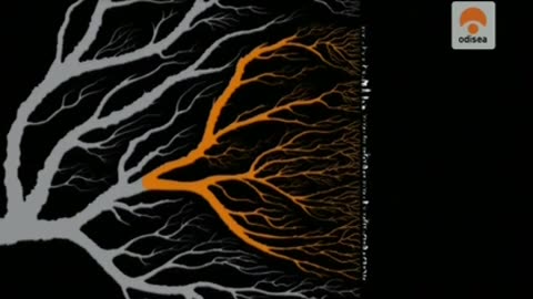 Especies en evolución - Documental