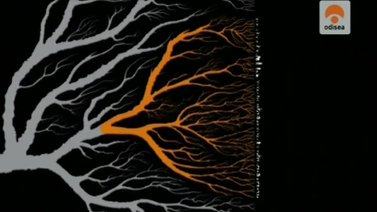 Especies en evolución - Documental