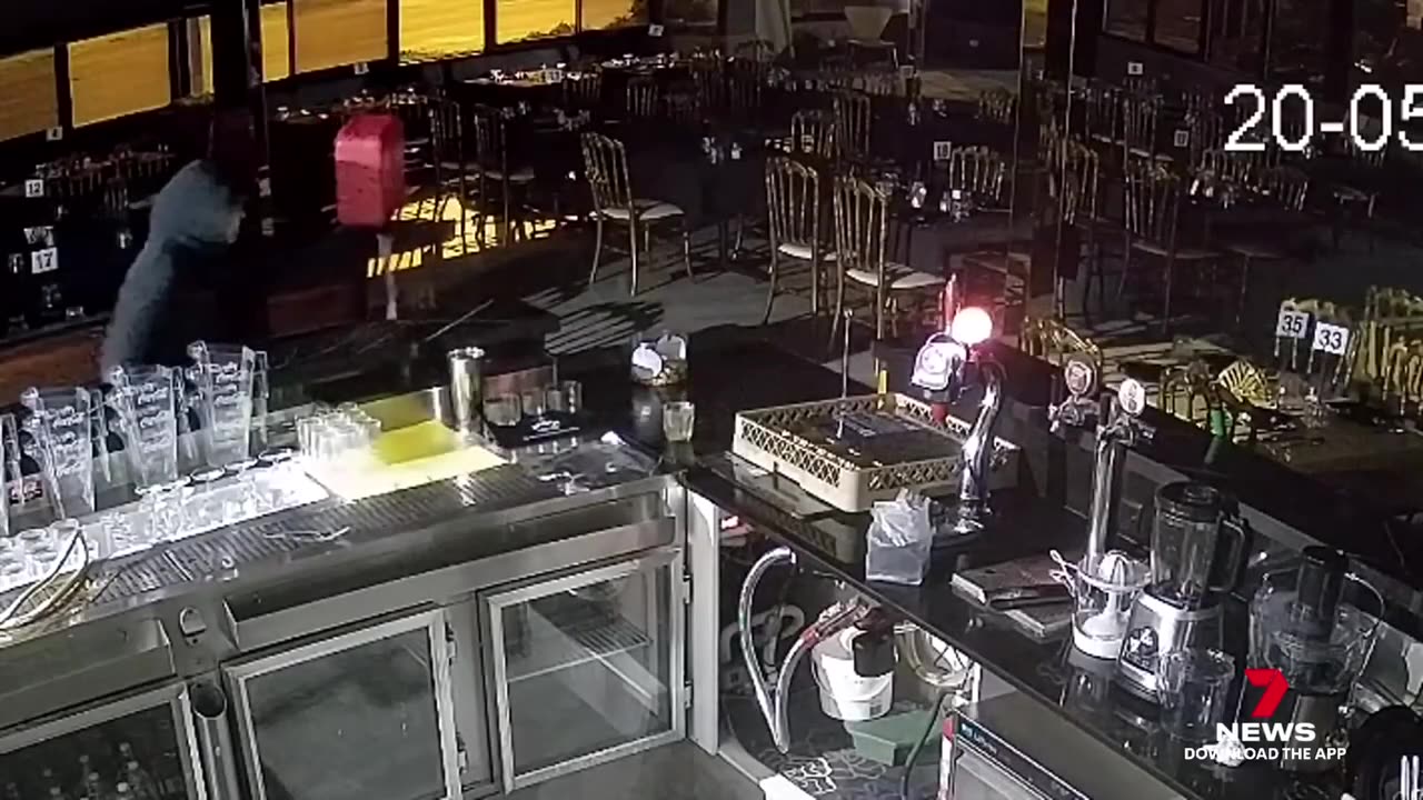 Foolish firebug caught on camera, watch as he sets himself alight - 7NEWS Australia