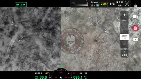 Two ukrops are taking a nap