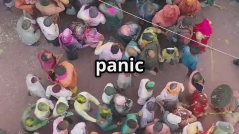 😢 Bengaluru Stampede: Free Ticket Rumor Caused Deadly Chaos