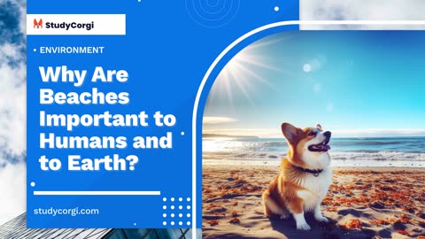 Why Are Beaches Important to Humans and to Earth? - Research Paper Example