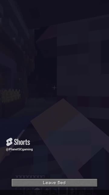 Villagers In My Bed!