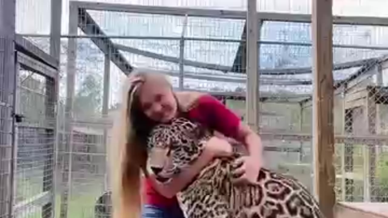 animals