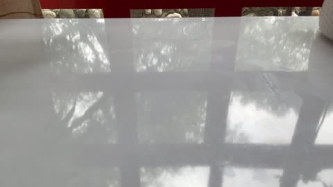 #enough Day 21 [30-Day Dance with 30-Seconds]
