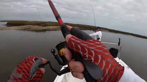 Float Rig Specks