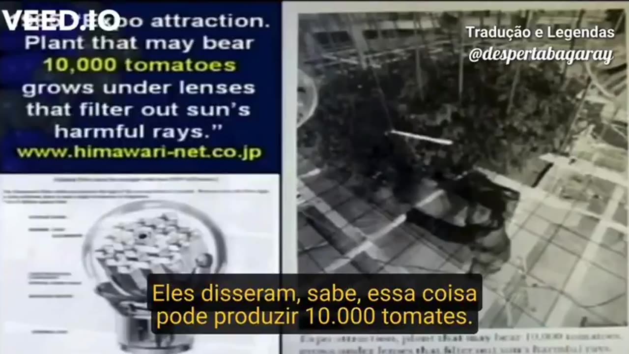 Eu não deixaria de assistir! você, eu não sei! Abra a sua mente! (se quiser, é claro)