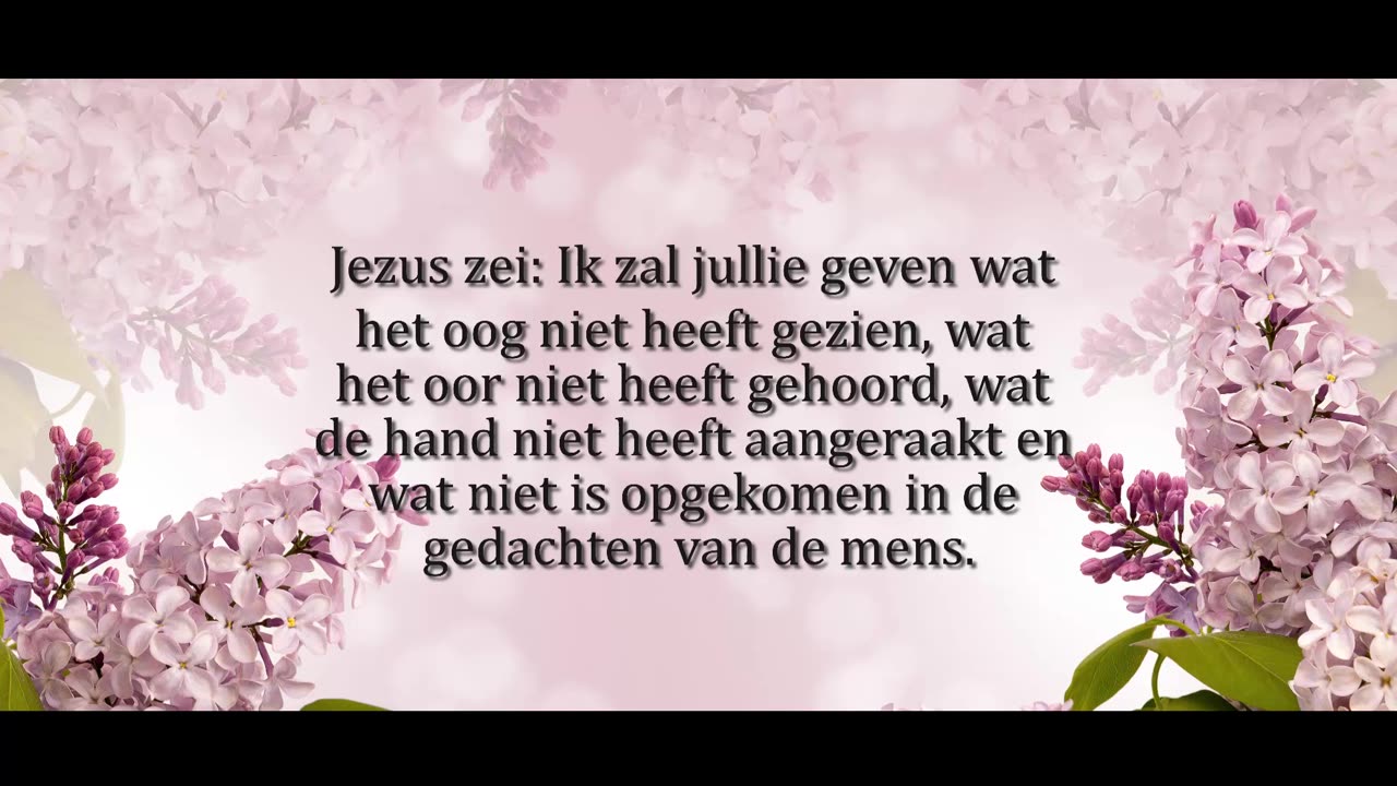 Ik zal