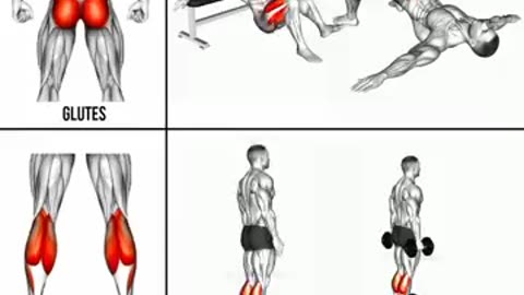 Breaking: No Equipment Lower Body Workout (At Home!)