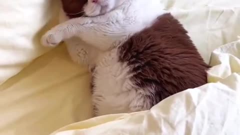 When you don’t want to face the world