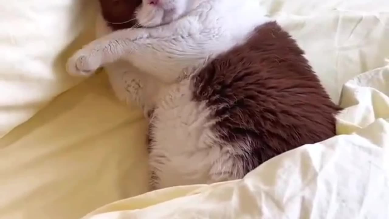 When you don’t want to face the world