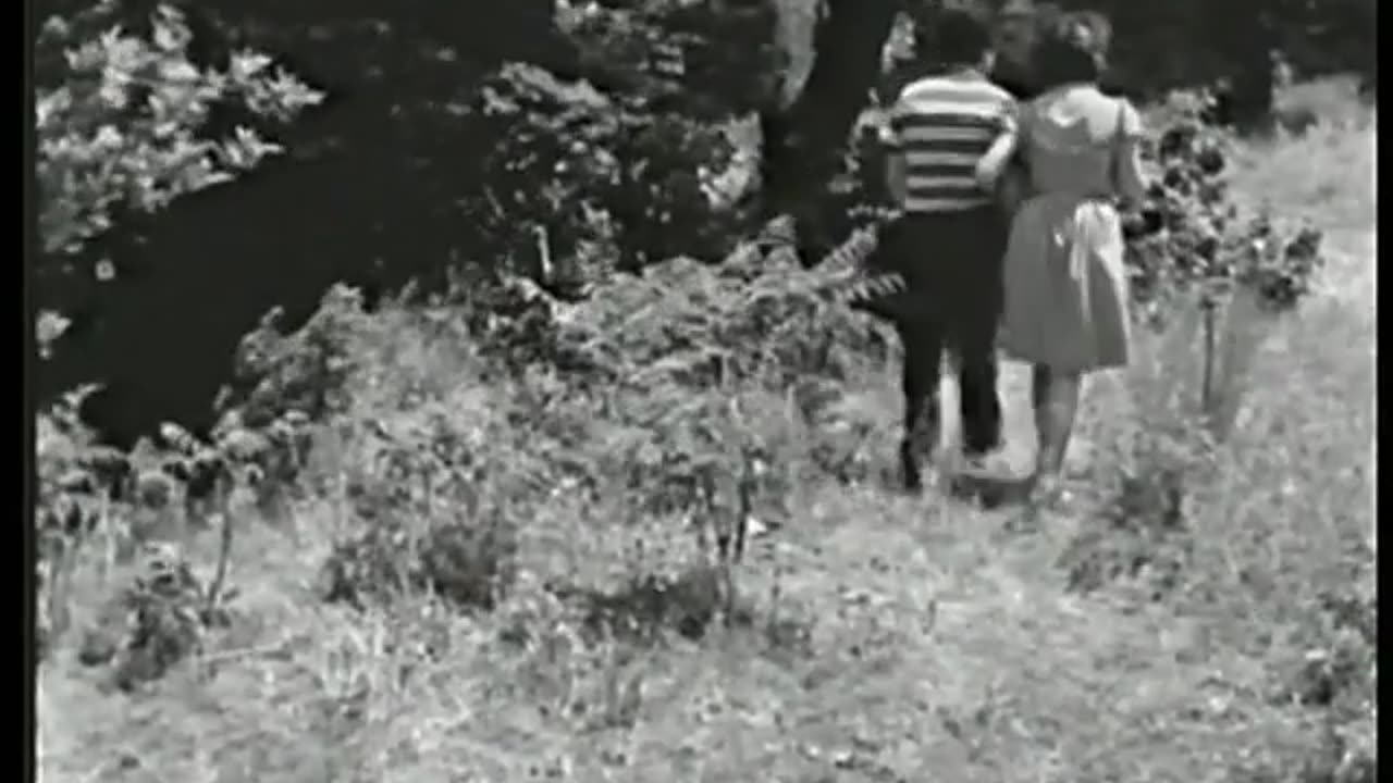 Cafer Çocuk Hırsızı - Türk Filmi(1)