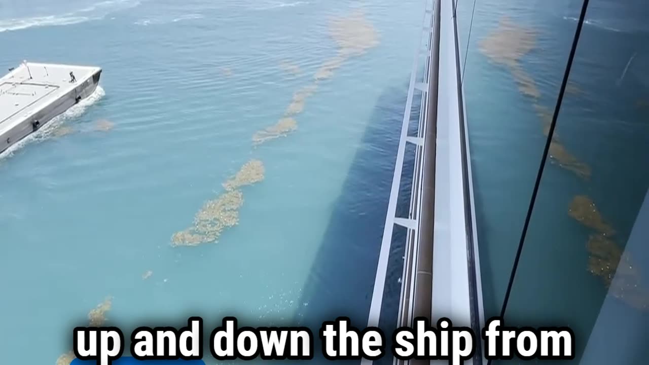 MSC World America Aurea Premium Balcony First Look! | Tall Man's Cruise Adventures