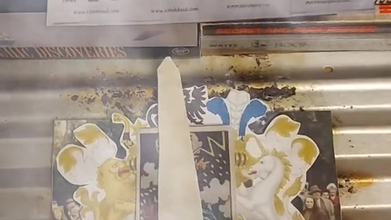 Tim Rifat TikTok Videos