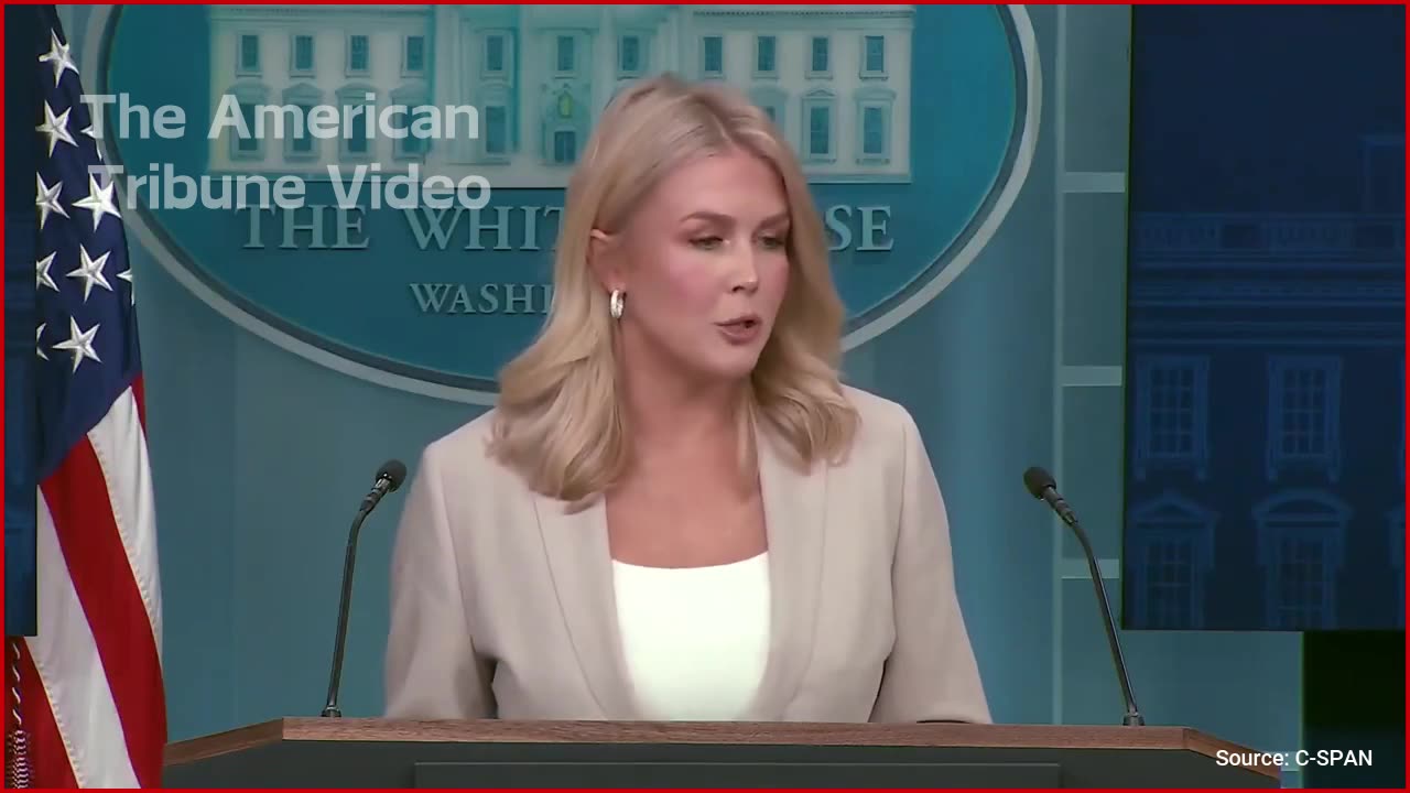 WATCH: Karoline Leavitt Brings the Receipts to Demolish Woke Media Hit Piece with Four Key Facts