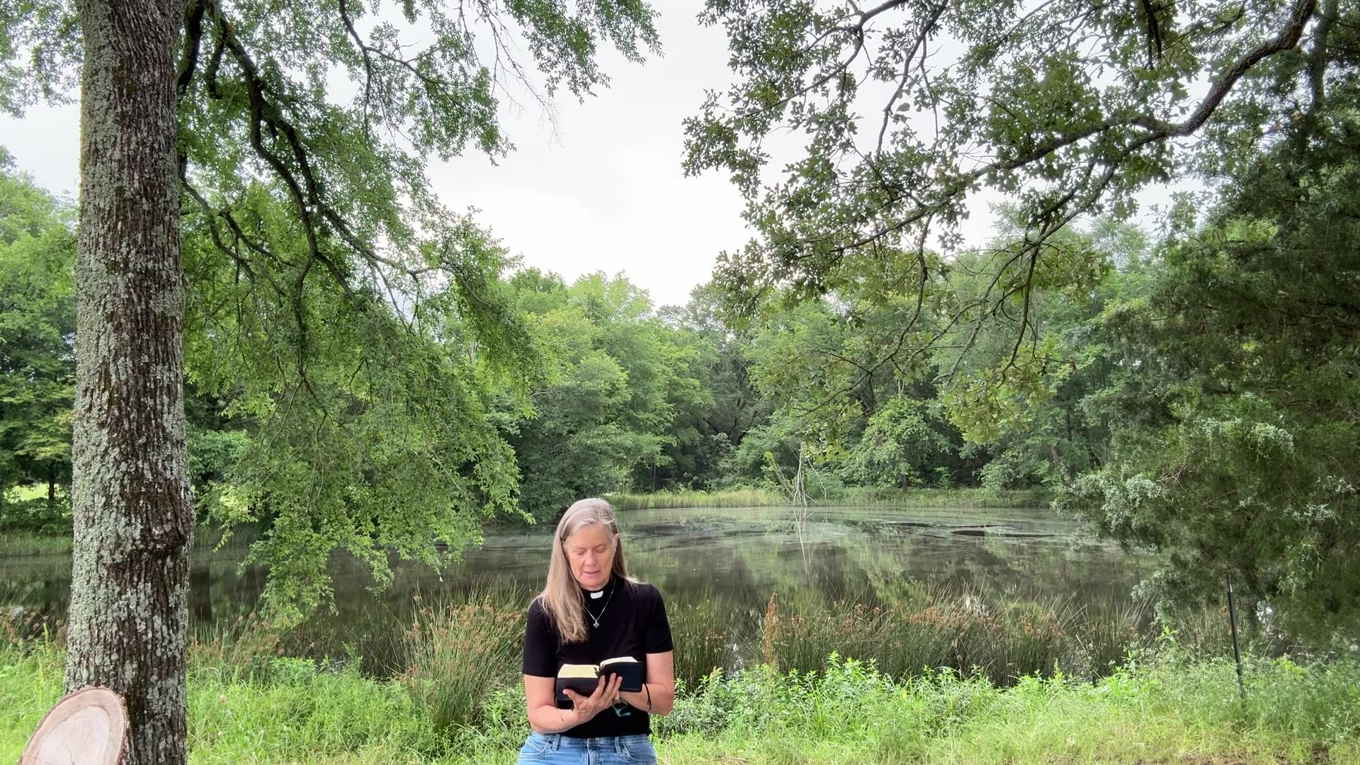 Daily office, Morning Prayer