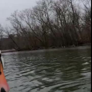 These animals want to eat me 🤣🤣🤣