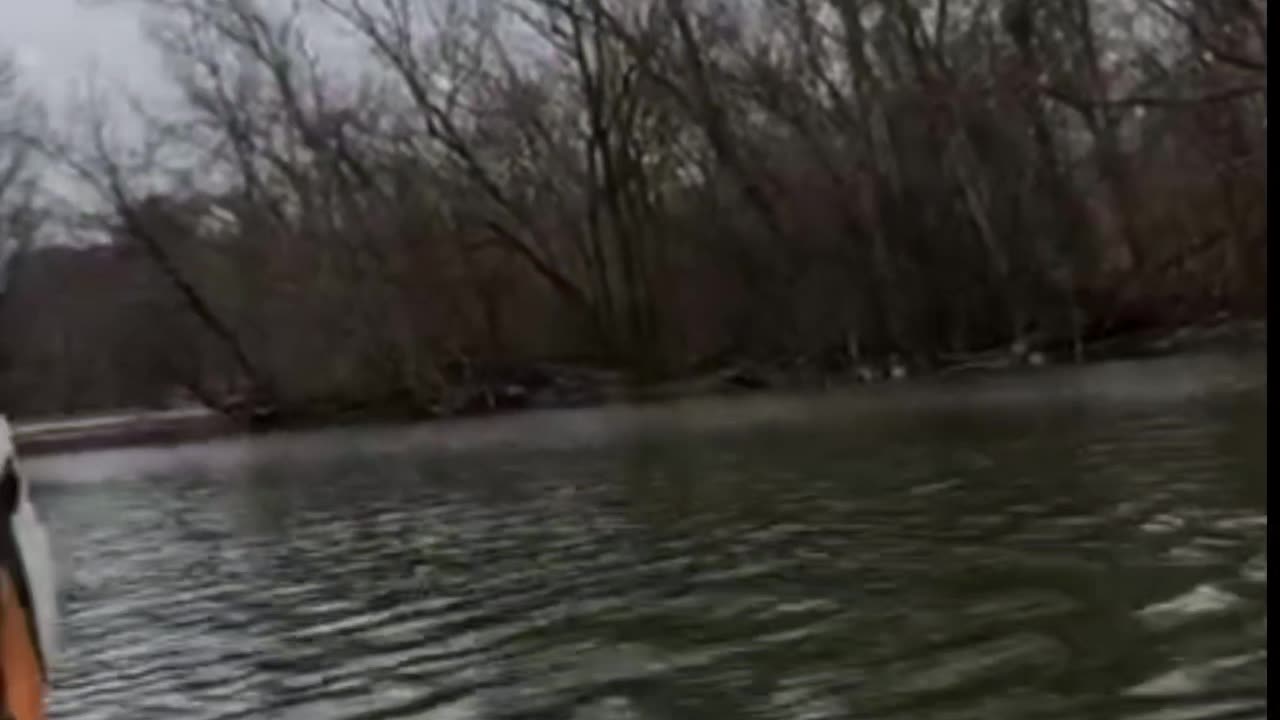 These animals want to eat me 🤣🤣🤣