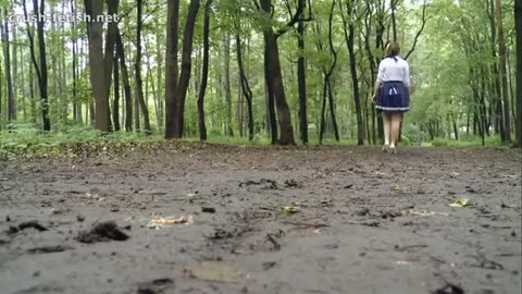 Taking a Walk