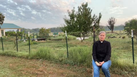 Morning Prayer, Daily Office