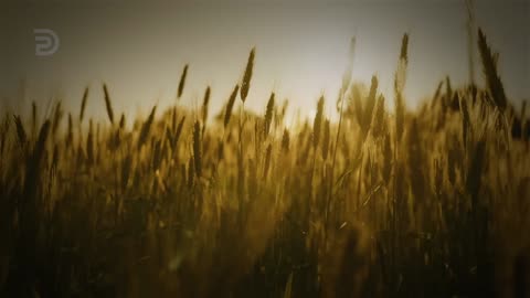 From Poverty to Prosperity | Derek Prince