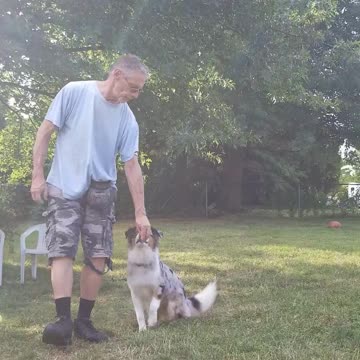 Back to the Basics: Lure Reward