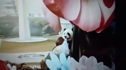 Panda & grok imagine