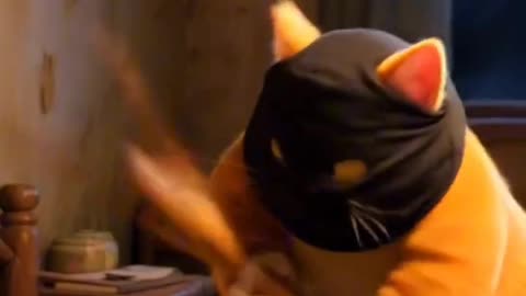 Thief cat