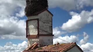 Huge Stork nest in Castile Spain